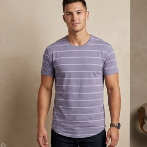 BYLT Basics Men’s Short Sleeve Striped Tee Size Large in Pebble (Purple)